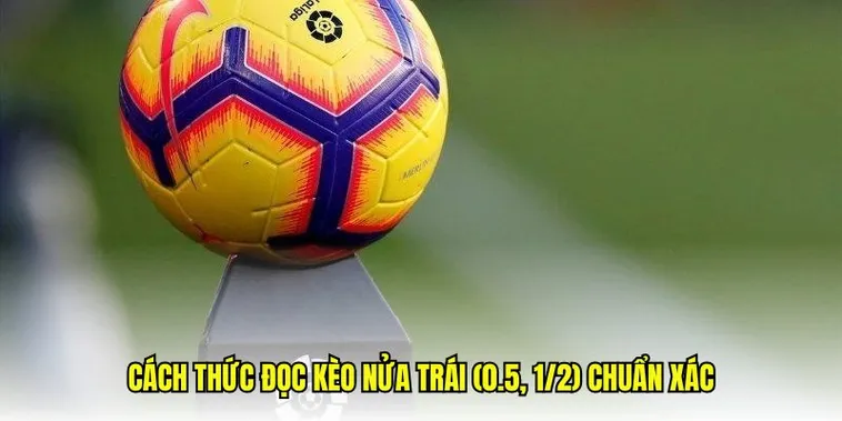 Phân Tích Kèo Chấp 0.5 Và Bí Quyết Đầu Tư Thành Công Cho Người Mới