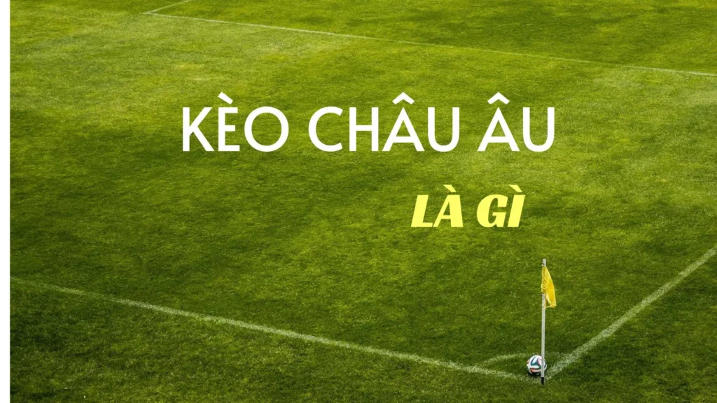 Chinh Phục Kèo Châu Âu Để Đạt Lợi Nhuận Bền Vững Trong Cá Cược